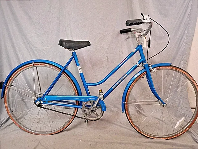 1975 Schwinn Collegiate Cruiser Bike Small 51cm Sturmey Archer Steel USA Shipper
