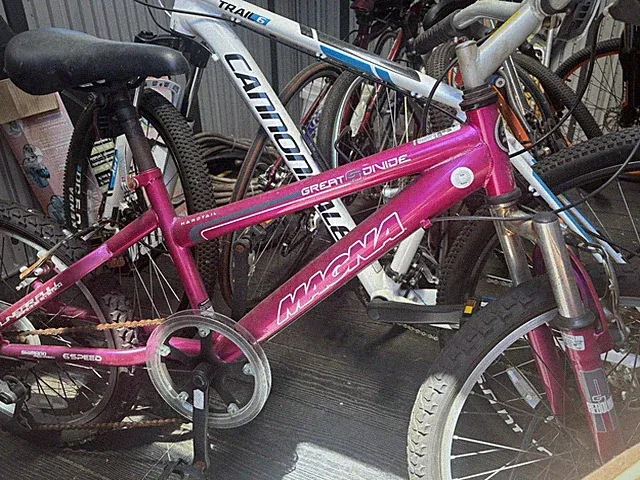 Magna Great Divide Kids Bike 20 in Pink 6-Speed Side Pull Caliper Derailleur